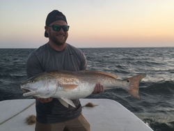 Exciting Redfish Action: Morehead City Waters!